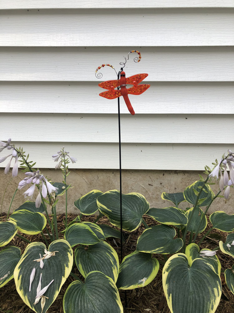 A vibrant red fused glass dragonfly plant stake with beaded wire antennae, standing among lush green hostas with a white siding backdrop.